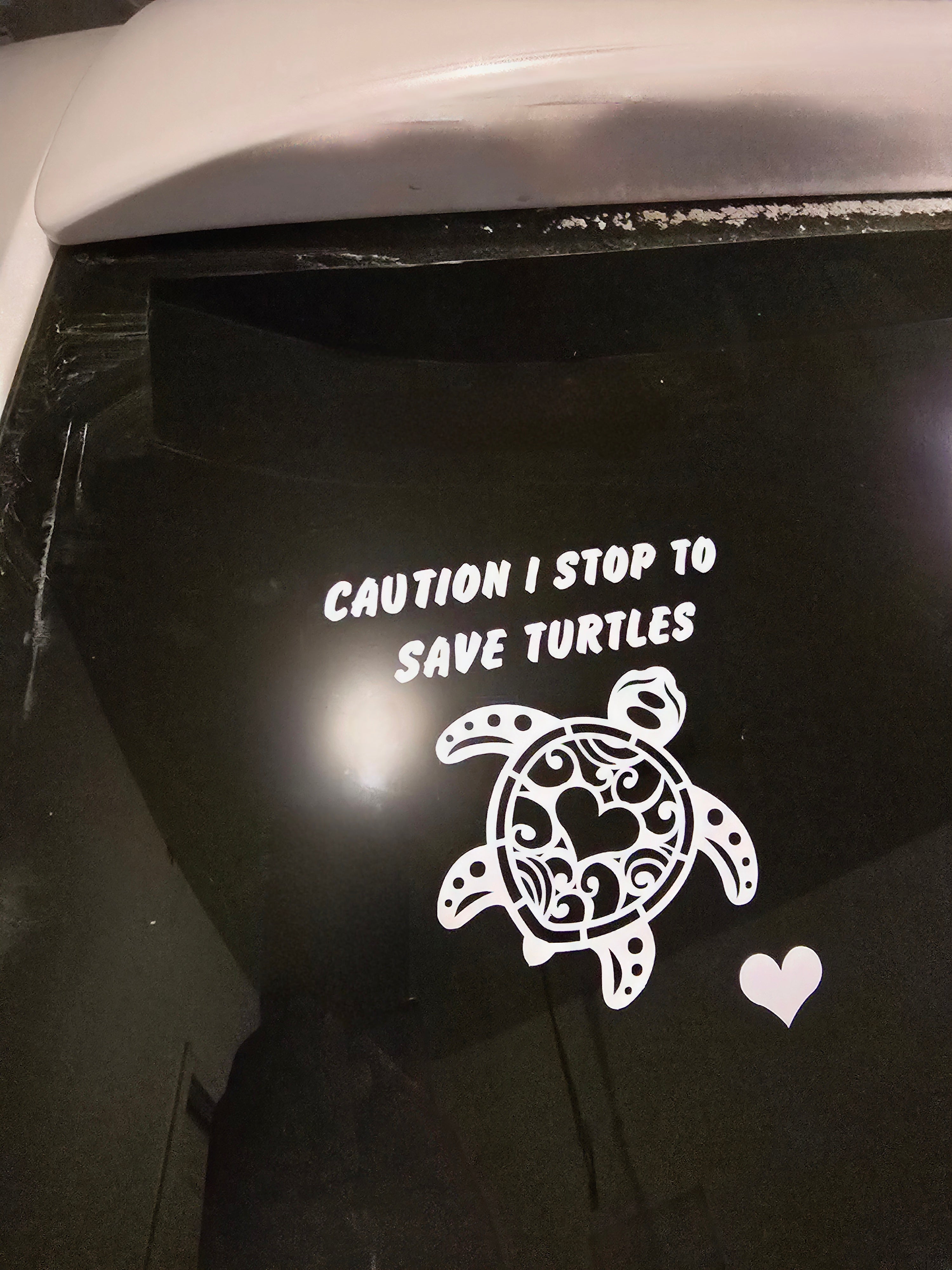 Save turtles